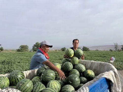 云岩区吃瓜少女,低调中的独特魅力