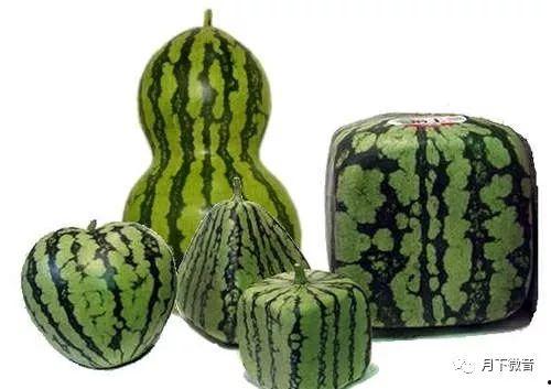 奇葩水果吃瓜,揭秘那些让人惊掉下巴的奇葩水果