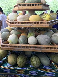 吃瓜观众 的瓜是什么,娱乐圈背后的真相大曝光