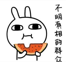 搞笑吃瓜系统文,笑料百出！揭秘搞笑吃瓜界的那些事儿